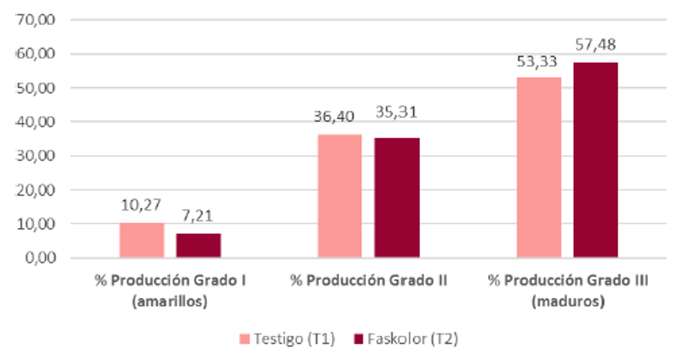 Figura 3. Porcentajes de producción en los distintos grados de madurez evaluados.