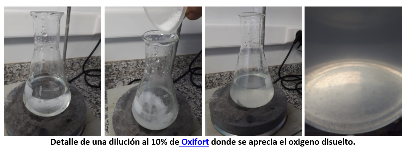 Detalle de una dilución al 10% de Oxifort donde se aprecia el oxigeno disuelto.