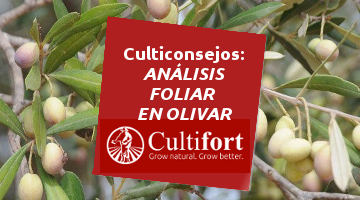 Realización análisis foliar en olivar