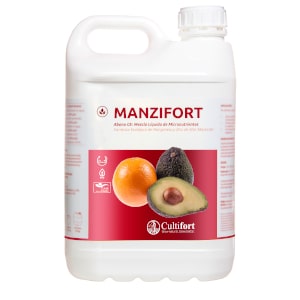 Manzifort