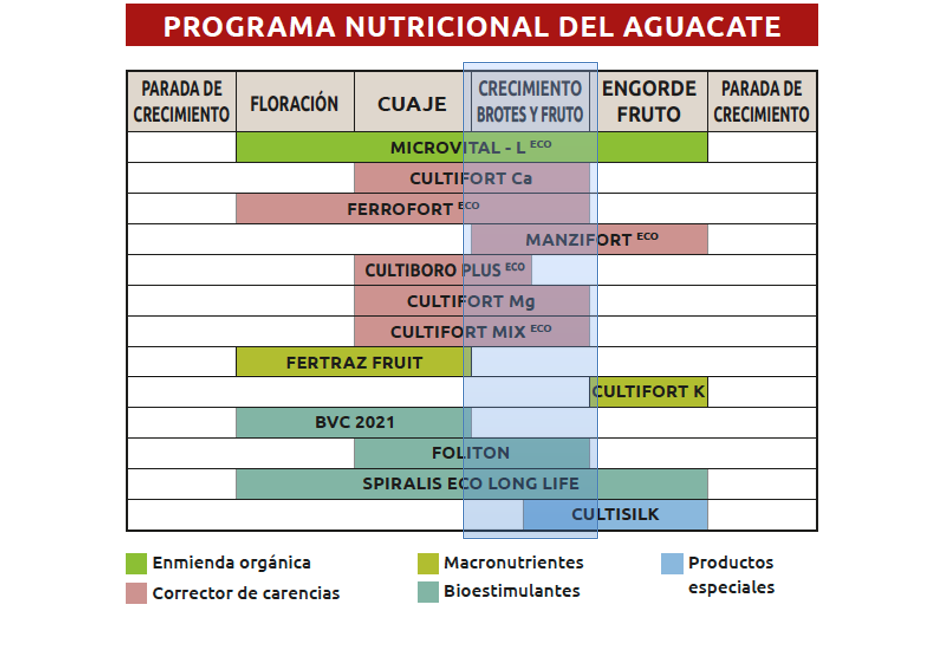 Programa nutricional del aguacate