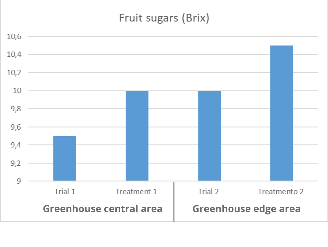 Fruit Sugars