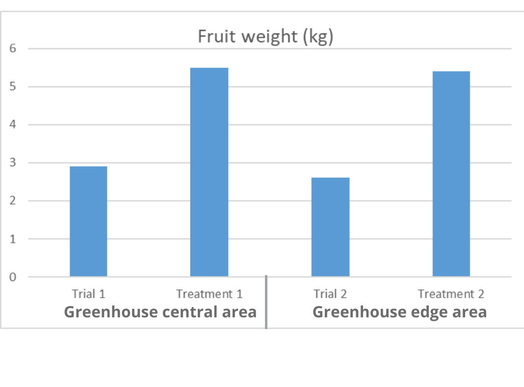 Fruit weight