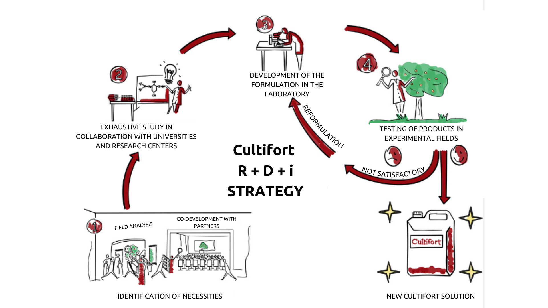 Cultifort R+D+I STRATEGY