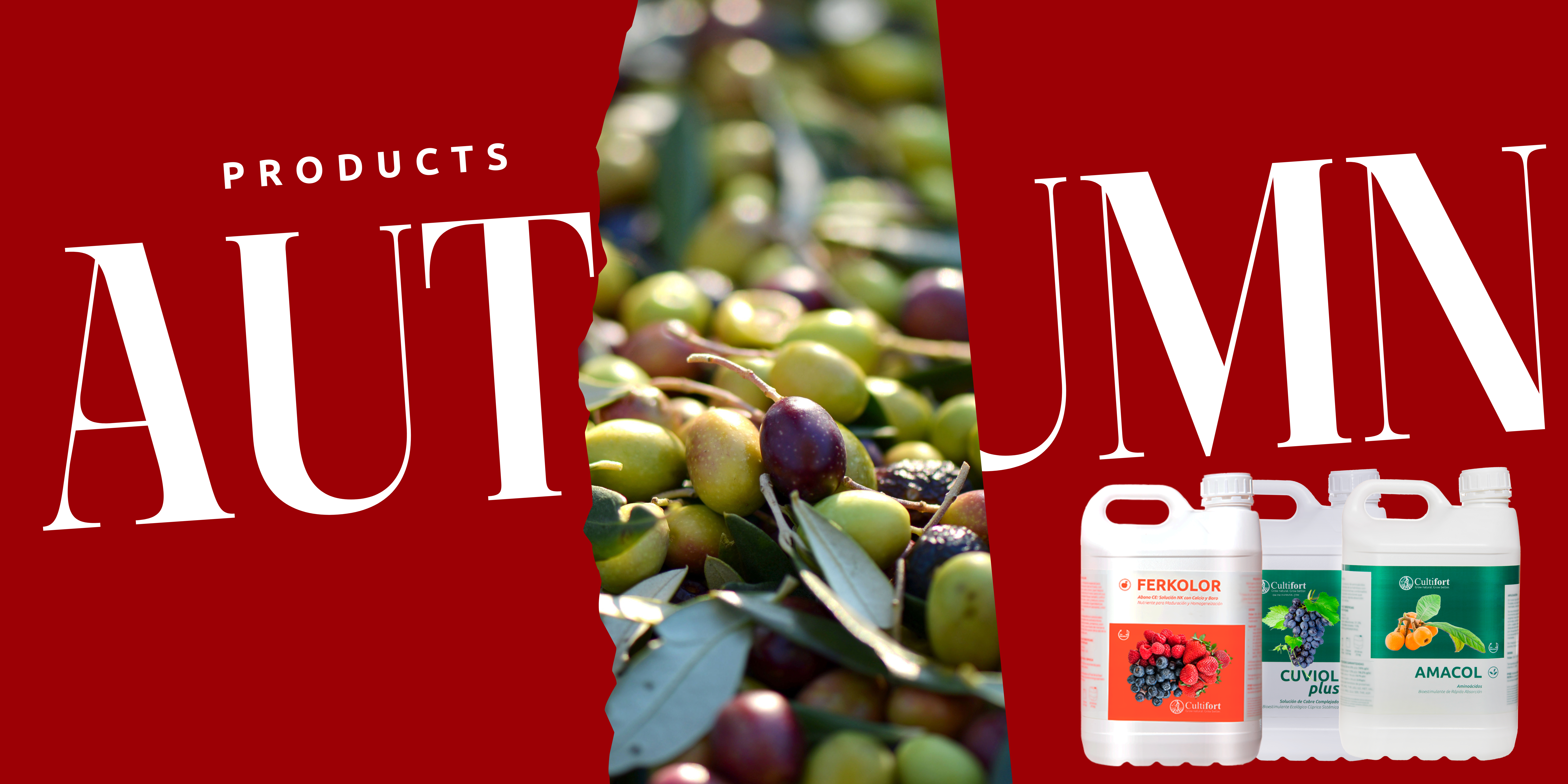Autumn olive tree products - BANNER